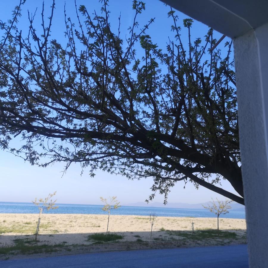 Greece Asprovalta Rooms Accomodation Apartment Hotel Petalo ภายนอก รูปภาพ