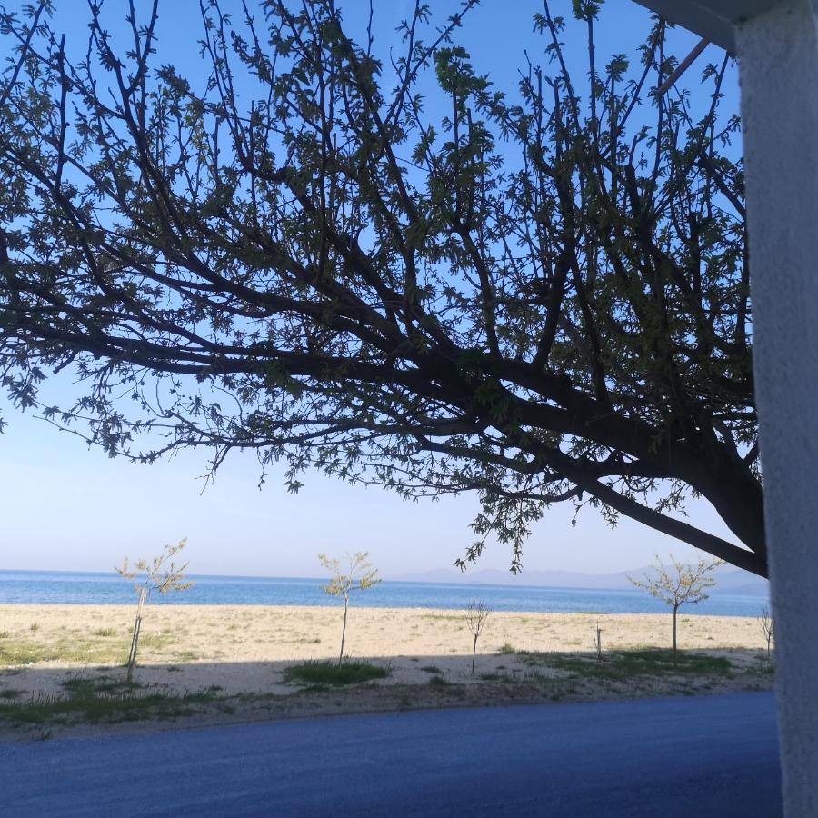 Greece Asprovalta Rooms Accomodation Apartment Hotel Petalo ภายนอก รูปภาพ