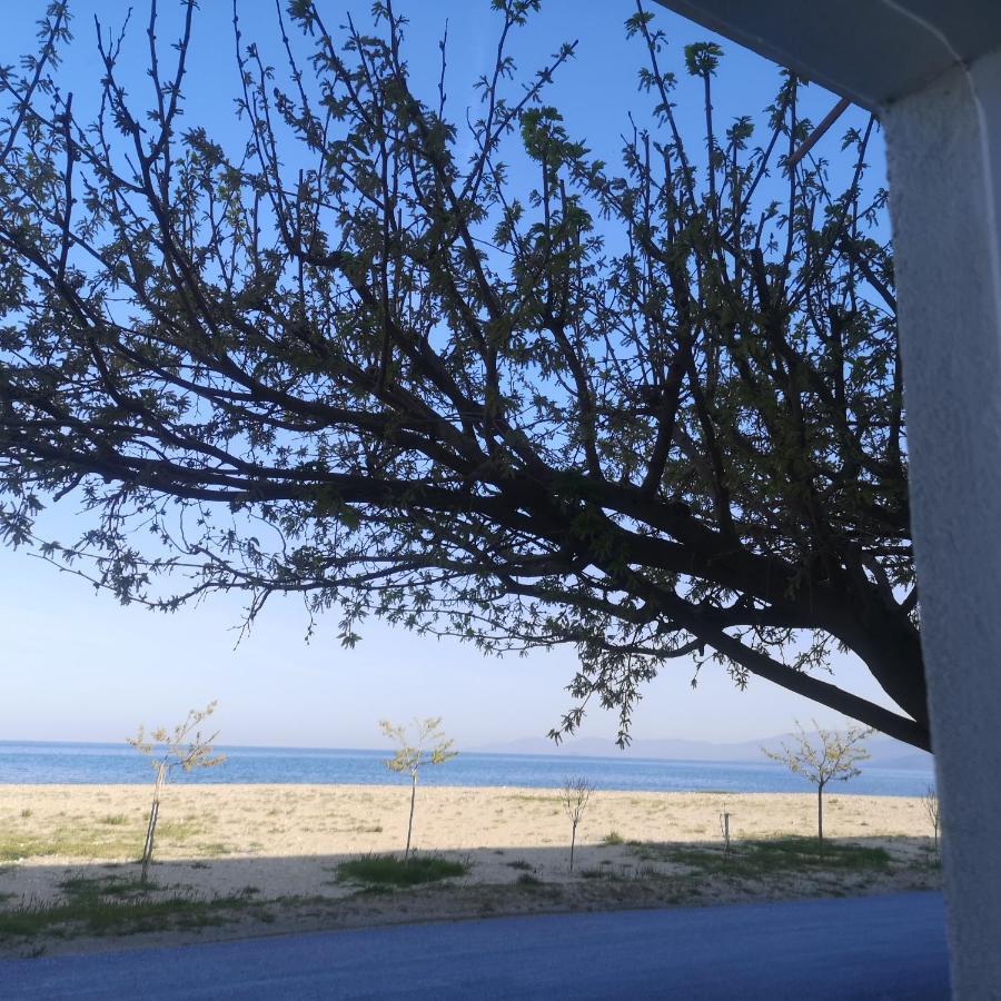 Greece Asprovalta Rooms Accomodation Apartment Hotel Petalo ภายนอก รูปภาพ